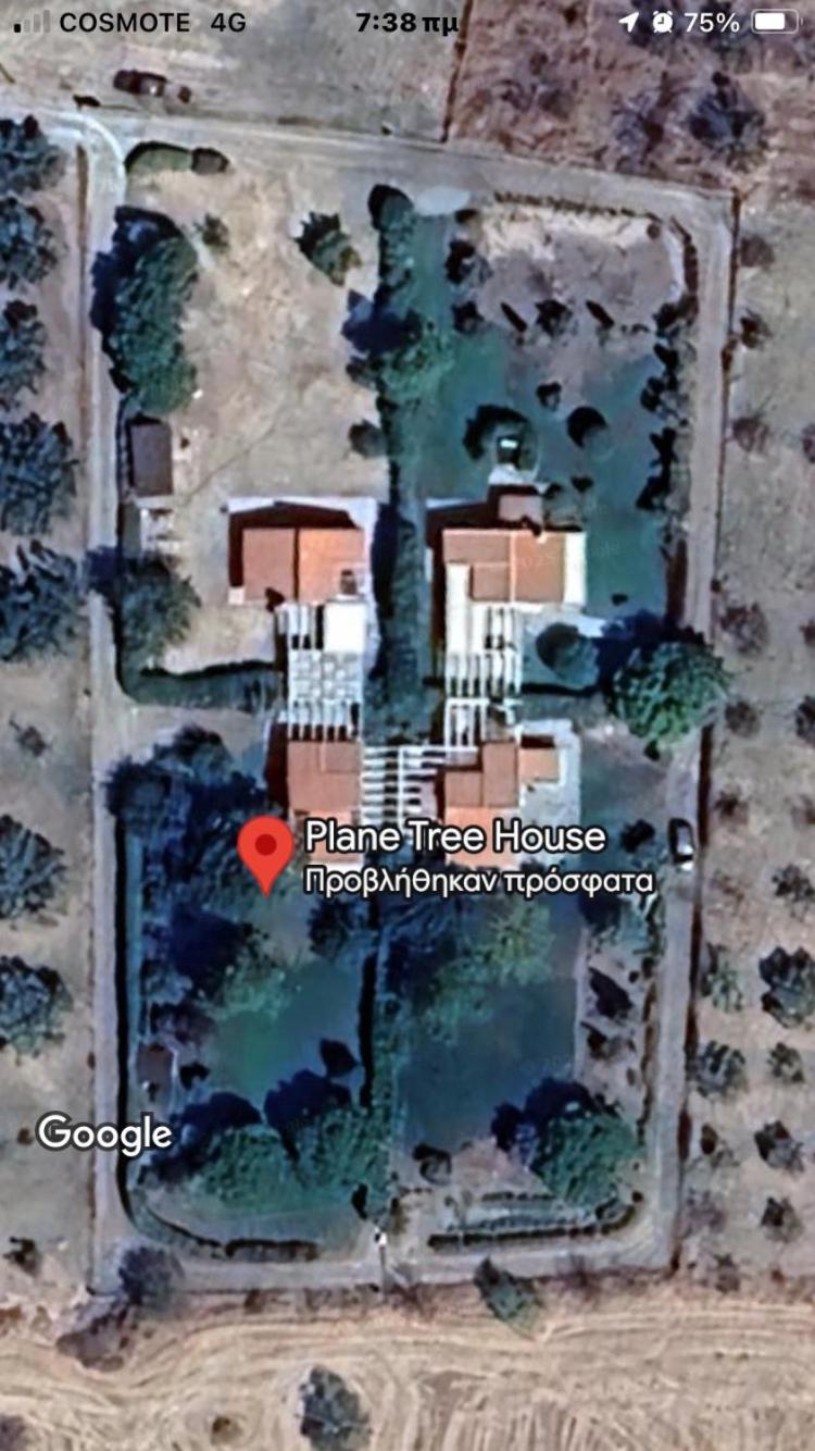 Appartamento Plane Tree House Nea Nea Makri Esterno foto