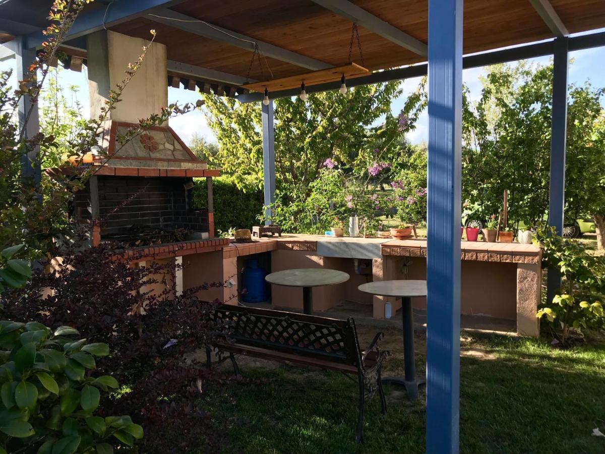 Appartamento Plane Tree House Nea Nea Makri Esterno foto