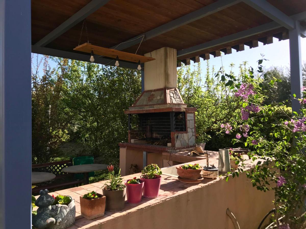 Appartamento Plane Tree House Nea Nea Makri Esterno foto